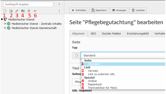Gro&szlig;ansicht: 